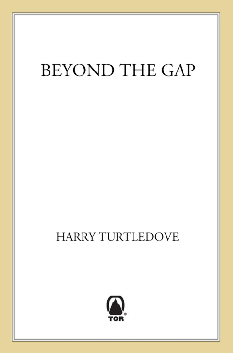 Cover image for book Beyond the Gap