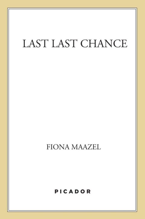 Cover image for book Last Last Chance