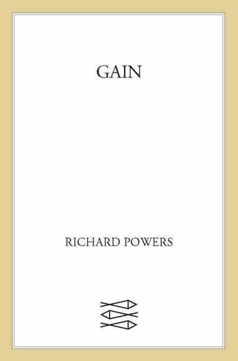 Cover image for book Gain