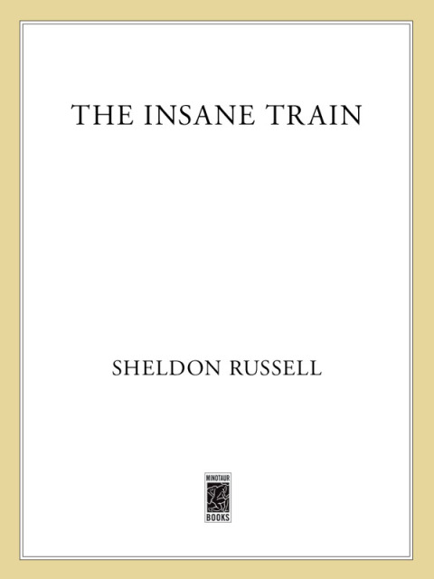 Cover image for book The Insane Train