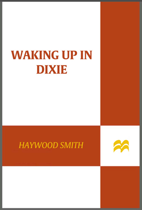 Cover image for book Waking Up in Dixie