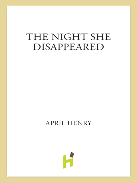 Cover image for book The Night She Disappeared