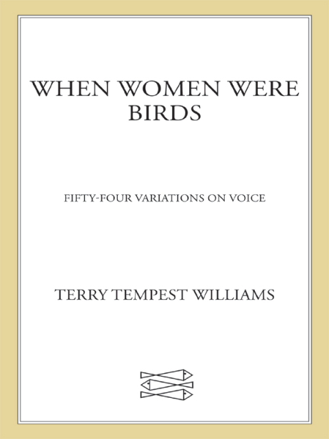 Cover image for book When Women Were Birds