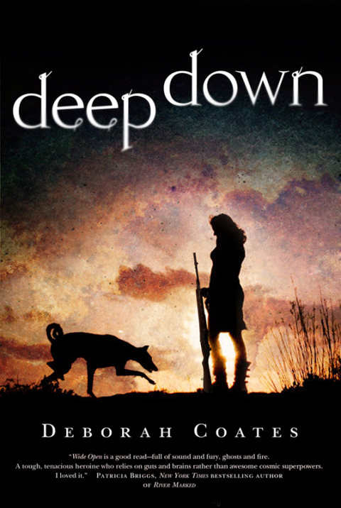 Cover image for book Deep Down