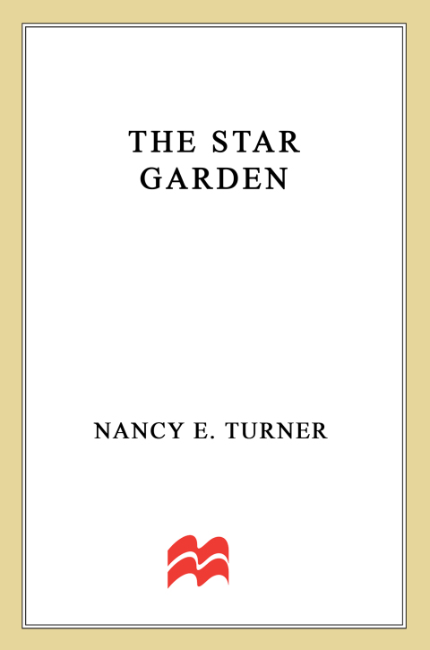 Cover image for book The Star Garden