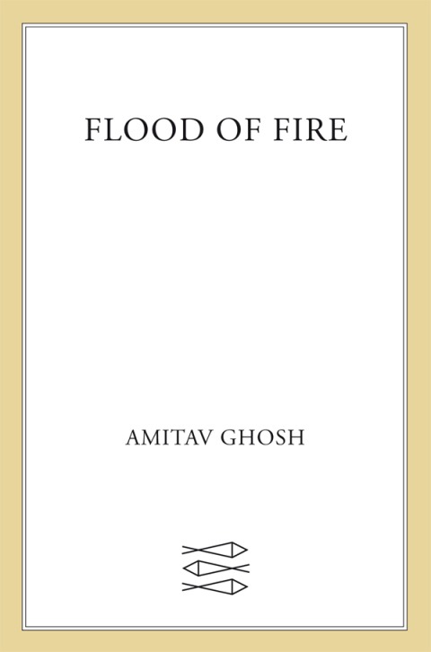Cover image for book Flood of Fire