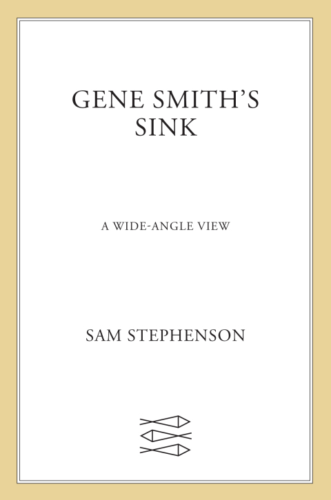 Cover image for book Gene Smith's Sink