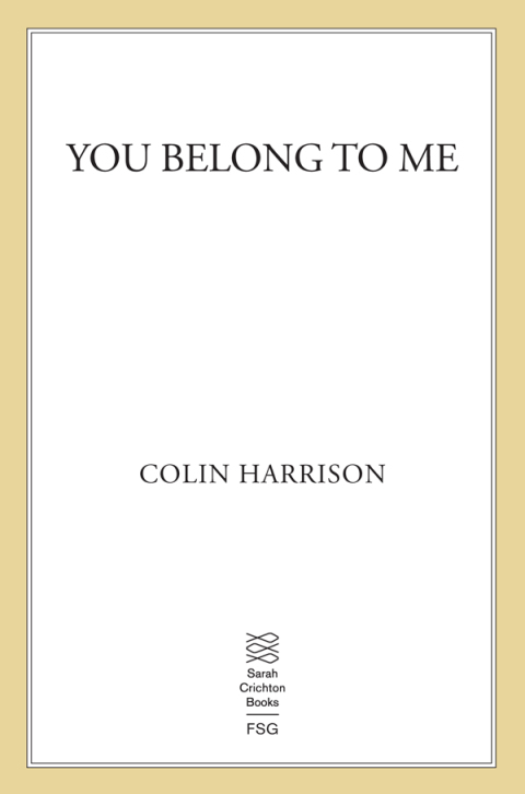 Cover image for book You Belong to Me