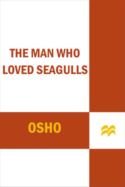 Cover image for book The Man Who Loved Seagulls
