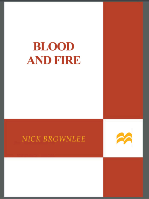Cover image for book Blood and Fire