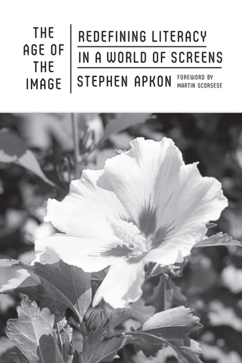 Cover image for book The Age of the Image