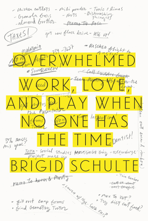 Cover image for book Overwhelmed
