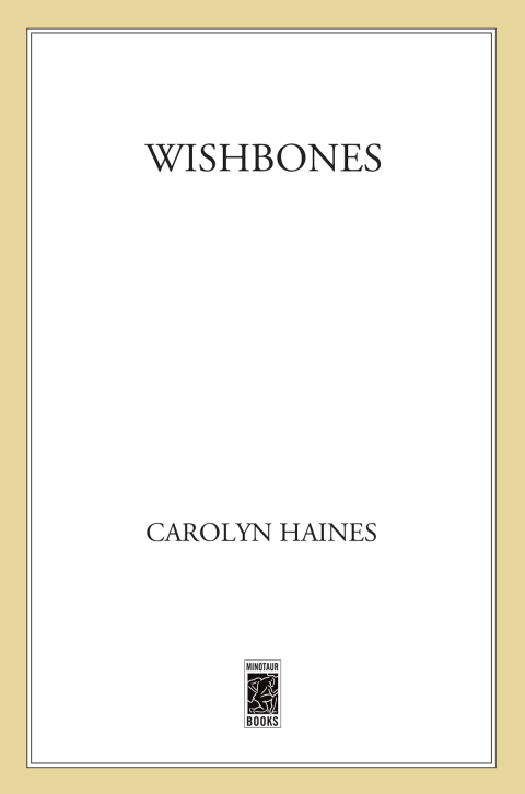 Cover image for book Wishbones