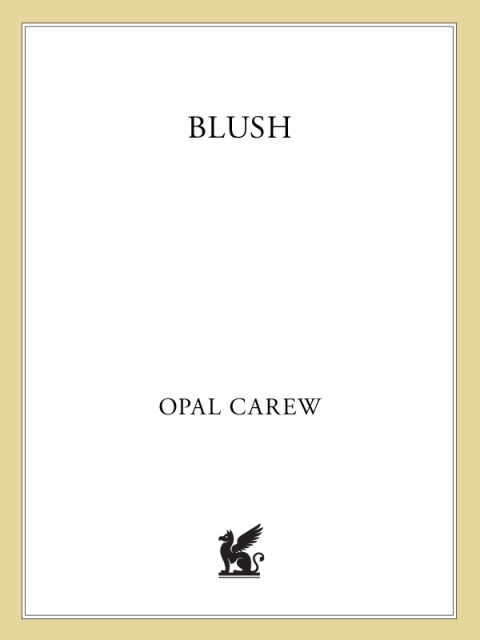 Cover image for book Blush