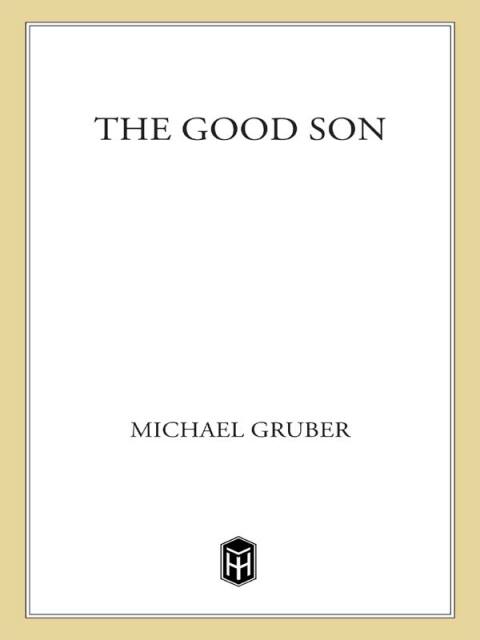 Cover image for book The Good Son