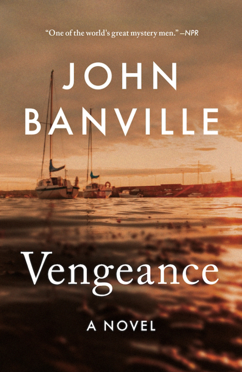 Cover image for book Vengeance
