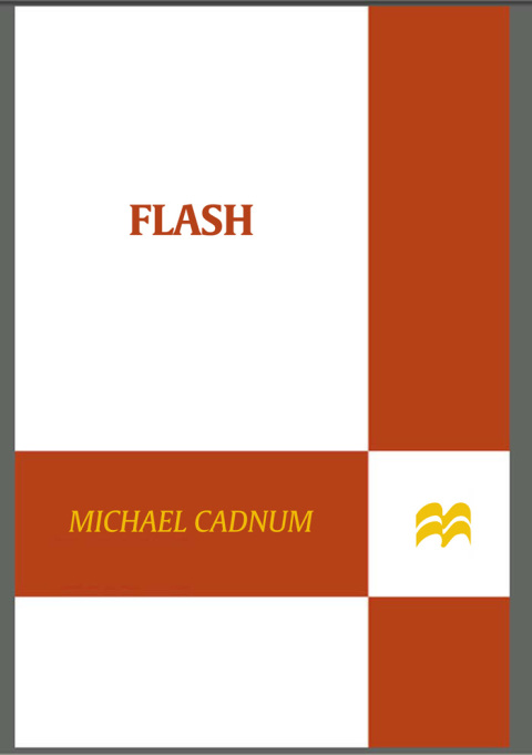 Cover image for book Flash