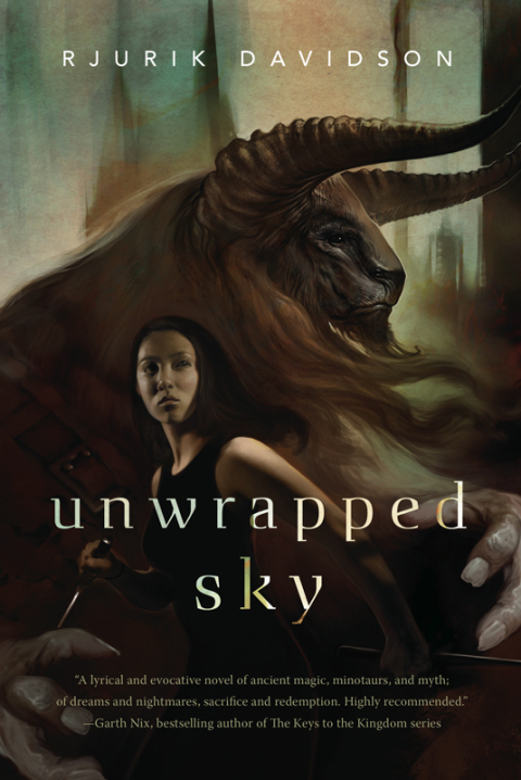 Cover image for book Unwrapped Sky