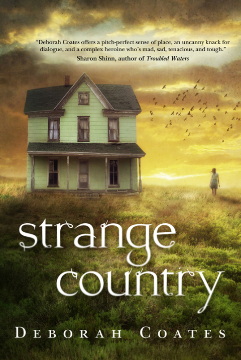 Cover image for book Strange Country