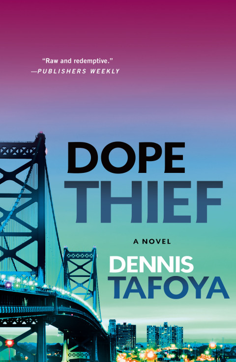 Cover image for book Dope Thief