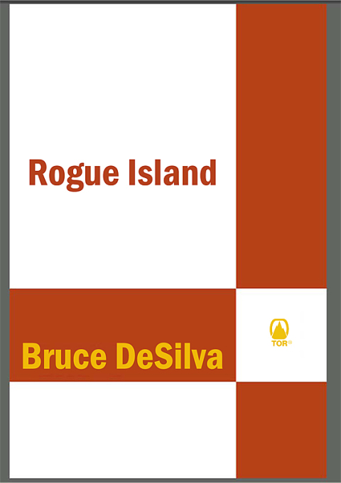Cover image for book Rogue Island