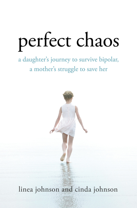 Cover image for book Perfect Chaos