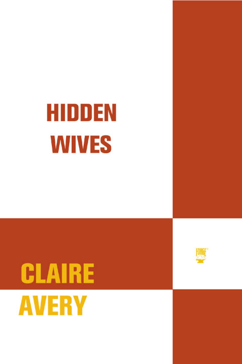 Cover image for book Hidden Wives