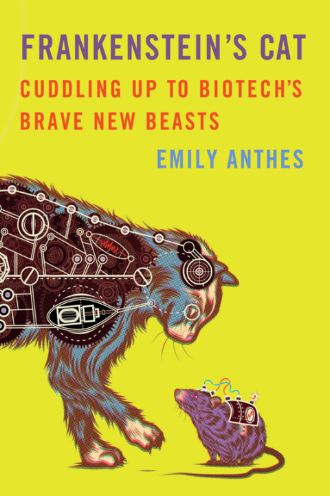 Cover image for book Frankenstein's Cat