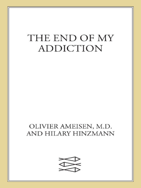 Cover image for book The End of My Addiction