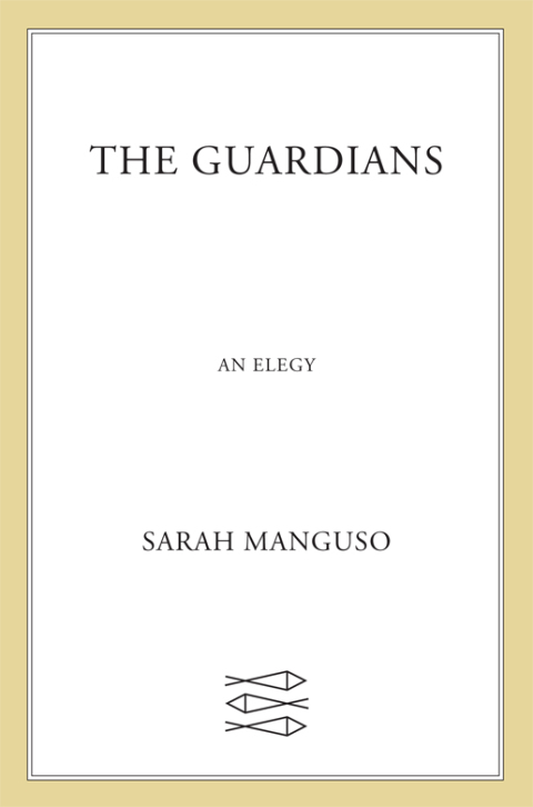 Cover image for book The Guardians