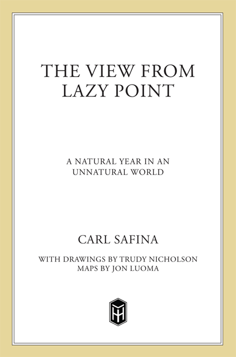 Cover image for book The View from Lazy Point