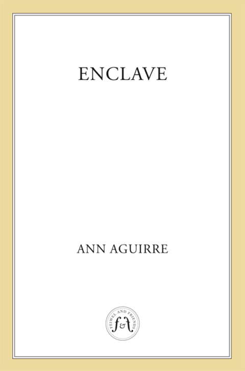 Cover image for book Enclave