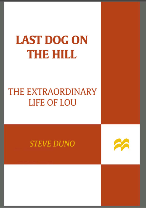 Cover image for book Last Dog on the Hill