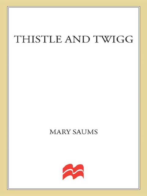 Cover image for book Thistle and Twigg