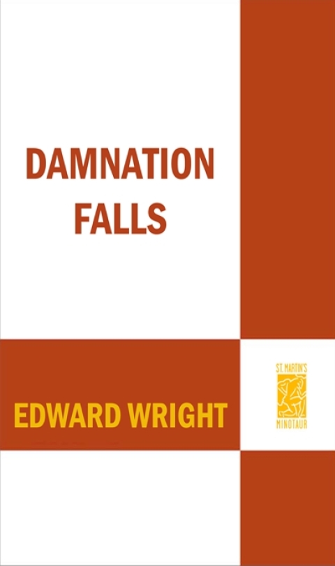 Cover image for book Damnation Falls