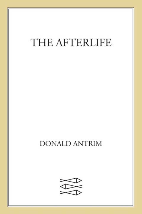 Cover image for book The Afterlife