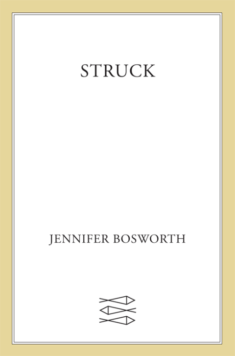 Cover image for book Struck