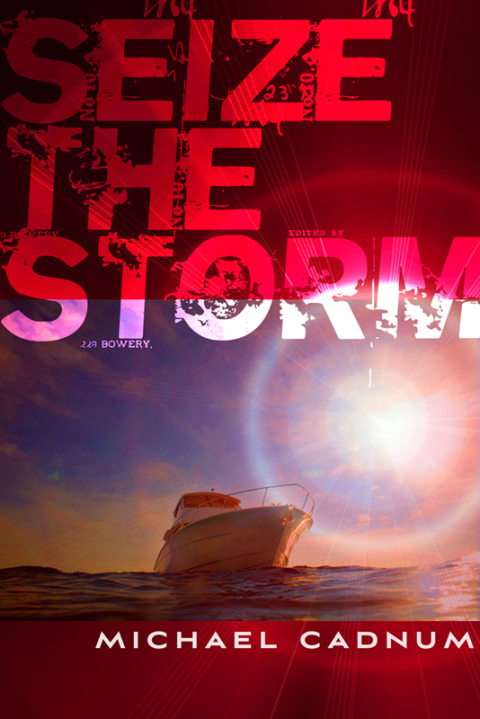 Cover image for book Seize the Storm