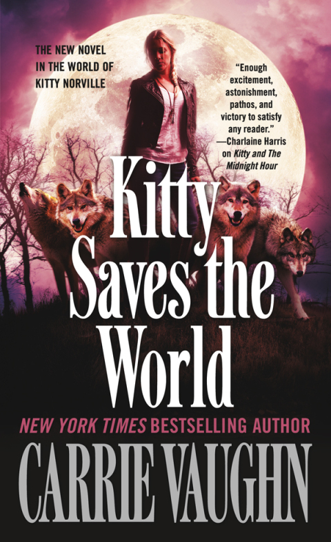 Cover image for book Kitty Saves the World