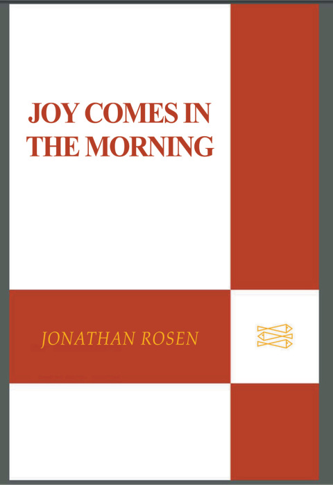 Cover image for book Joy Comes in the Morning