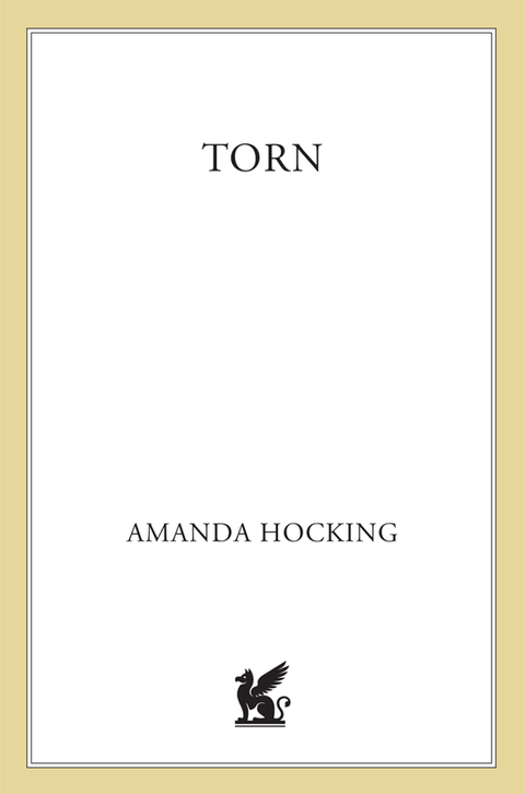 Cover image for book Torn