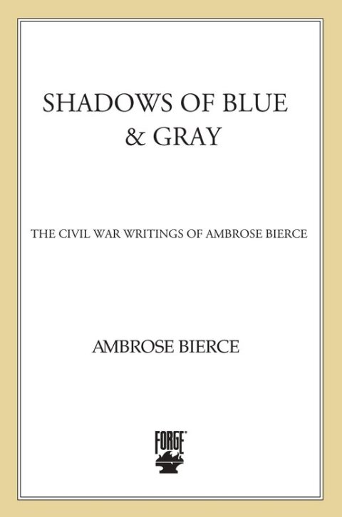 Cover image for book Shadows of Blue & Gray
