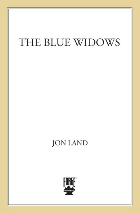 Cover image for book The Blue Widows