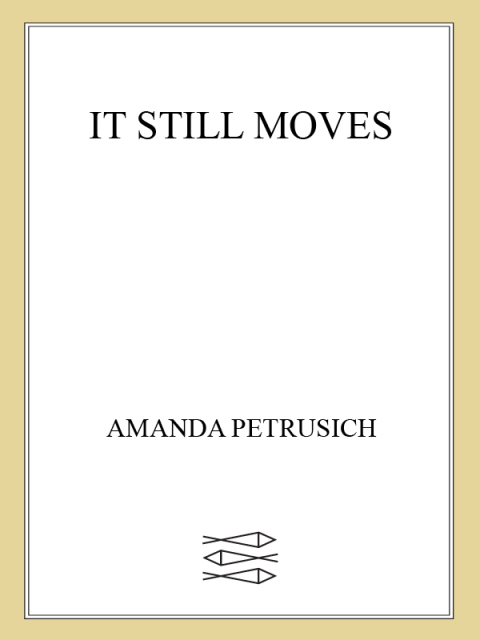 Cover image for book It Still Moves