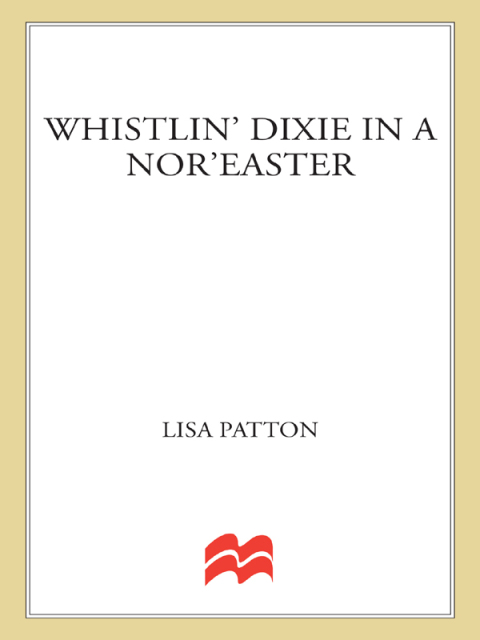 Cover image for book Whistlin' Dixie in a Nor'easter