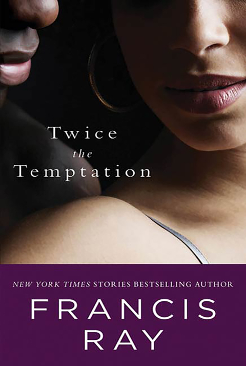Cover image for book Twice the Temptation
