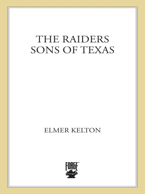 Cover image for book The Raiders