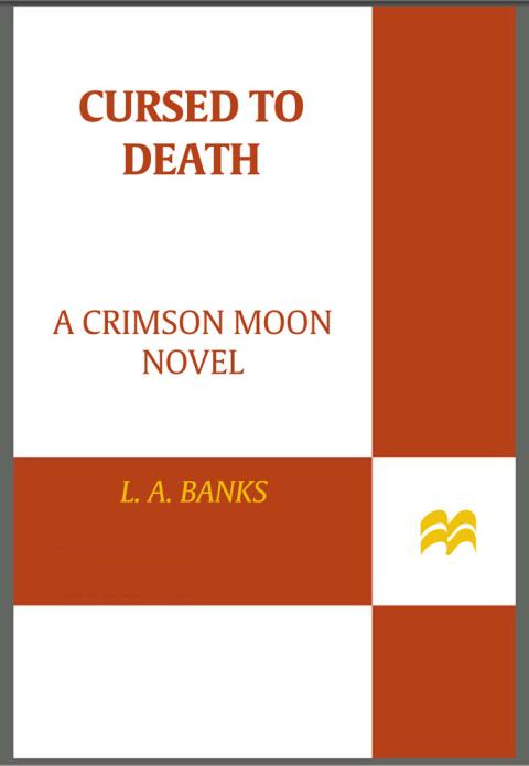 Cover image for book Cursed to Death