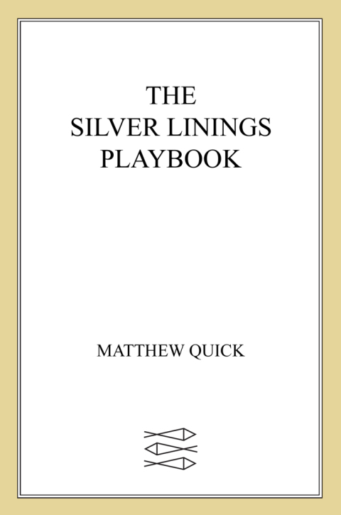 Cover image for book The Silver Linings Playbook
