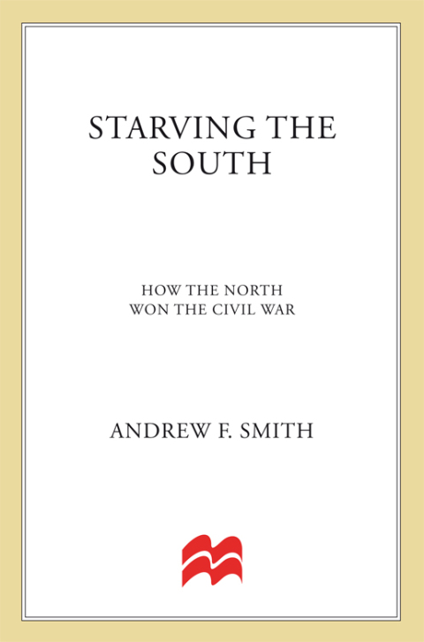 Cover image for book Starving the South